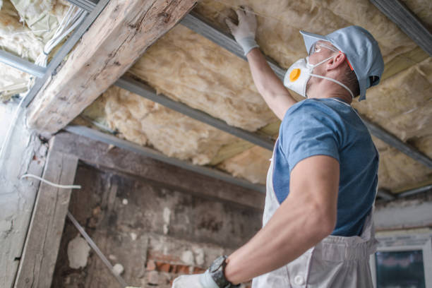Professional Insulation Contractor in Mackinaw, IL