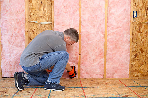 Best Eco-Friendly Insulation in Mackinaw, IL