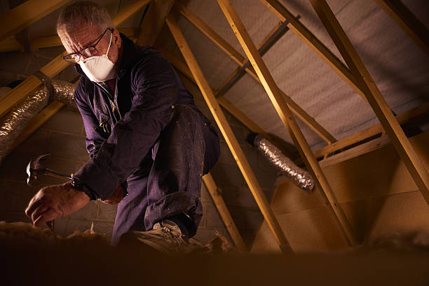 Trusted Mackinaw, IL Insulation Contractor Experts